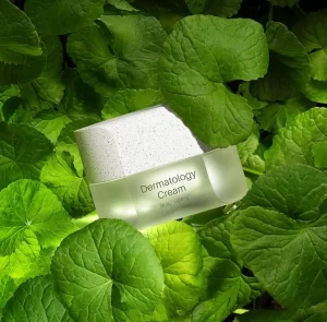 韓国発「インセルダム（INCELLDERM） ICD」がついに日本上陸。株式会社GrandFusionが日本公式代理店としてサロン導入を本格展開